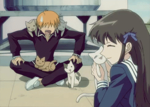 me + cats + larger upset cat