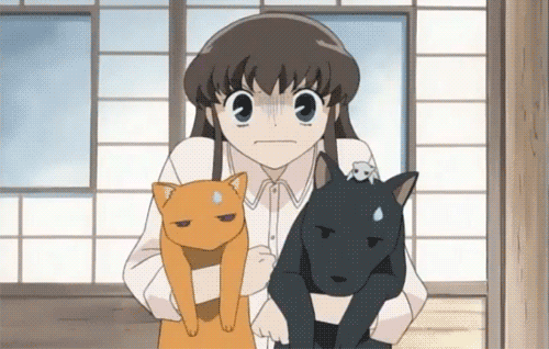 me and gang